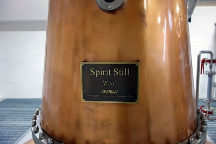 Spirit Still