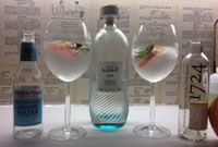 Tonic Water und Harris Gin